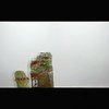 唐山皮影戏《五峰会》