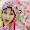 秦腔折子戏精选合集下载