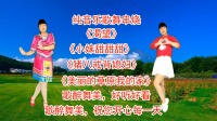 广场舞串烧《渴望》《小妹甜甜甜》《猪八戒