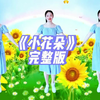 幼儿舞蹈《小花朵》完整版
