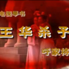 长篇琴书《回龙传》3部双龙走国3