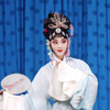 京剧荀派经典演唱会（众多名段经典和名角）