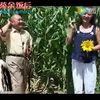 二人台《十八摸》
