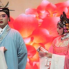 黄梅戏2013年寻找七仙女获奖演员演唱会下载