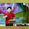 东北大鼓《回龙传》第6集