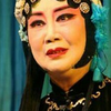 扬剧李开敏专场