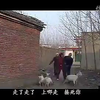 民间小调《小姨捉弄傻姐夫》全集
