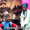 扬琴戏《二女争夫》1白金哥访母7下载