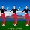 玫香广场舞《生病以后才知道》正面演示附教
