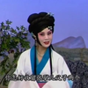 王洪玲河北梆子唱腔专辑
