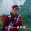 小姑贤下载