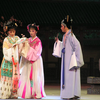 越剧品洁如雪艺传芳芬纪念袁雪芬越剧演出专场下载