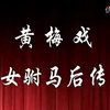 黄梅戏《女驸马后传》全集下载