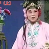 庐剧《三娘教子》上集下载