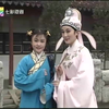 越剧电视连续剧《蝴蝶的传说》下载