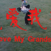 豫剧《我爱我孙》全集下载
