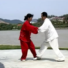 杨式太极拳散手