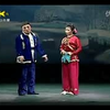 傻柱子接媳妇下载