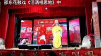邵东花鼓戏《泪洒相思地》中集下载