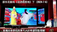 邵东花鼓戏《泪洒相思地》下集下载