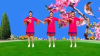 富平百合广场舞《红梅花儿开》完整版