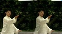 陈氐太极拳22式讲解下下载
