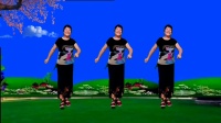 富平百合广场舞《一曲红尘》完整版