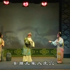 婺剧《杨八姐闯幽州》全集 金华市婺剧团