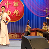 河南坠子《黛玉悲秋》返场（小黑驴 哭黛玉 秋江）片段下载