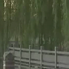 沂蒙小调《十二盼》下载