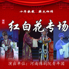 豫剧常派经典代表剧目《红白花》全场戏 河南豫剧院青年团下载
