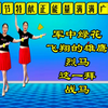 广场舞串烧《军中绿花》《飞翔的雄鹰》《这