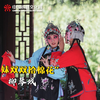 柳琴戏《拾棉花》姐妹双双拾棉花