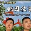 沂蒙小调《桃园往事》第一集