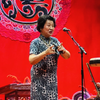 京韵大鼓《绿衣女》