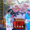 钦州采茶戏《颠婆揾仔》全集