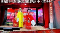 湖南邵东花鼓戏《泪洒相思地》中集下载