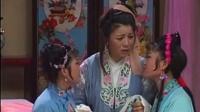 黄梅戏《薛凤英》全剧下载
