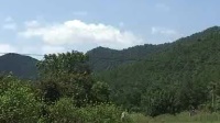 皖南花鼓戏《蓝丝带》上集下载
