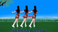 广场舞《绿水青山》水兵风格背面带跳 简单