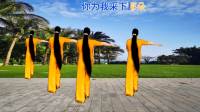广场舞《小小新娘花》舞步优美抒情好看
