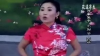 河南坠子《刘统勋小出身》全本1-30集下载