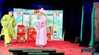湖南邵东花鼓戏《泪洒相思地》下集下载