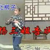 河北梆子《杨三姐告状》全剧