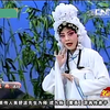 豫剧名家田敏唱腔集锦下载
