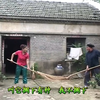 民间小调《倒霉的老婆婆》02集下载