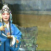 河南曲剧《王婆骂鸡》01集下载