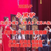 河南坠子《小黑驴》返《宝钗扑蝶》《思夫》