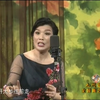 河南坠子《摘石榴》