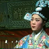 河南曲剧《血溅洞房》03集下载